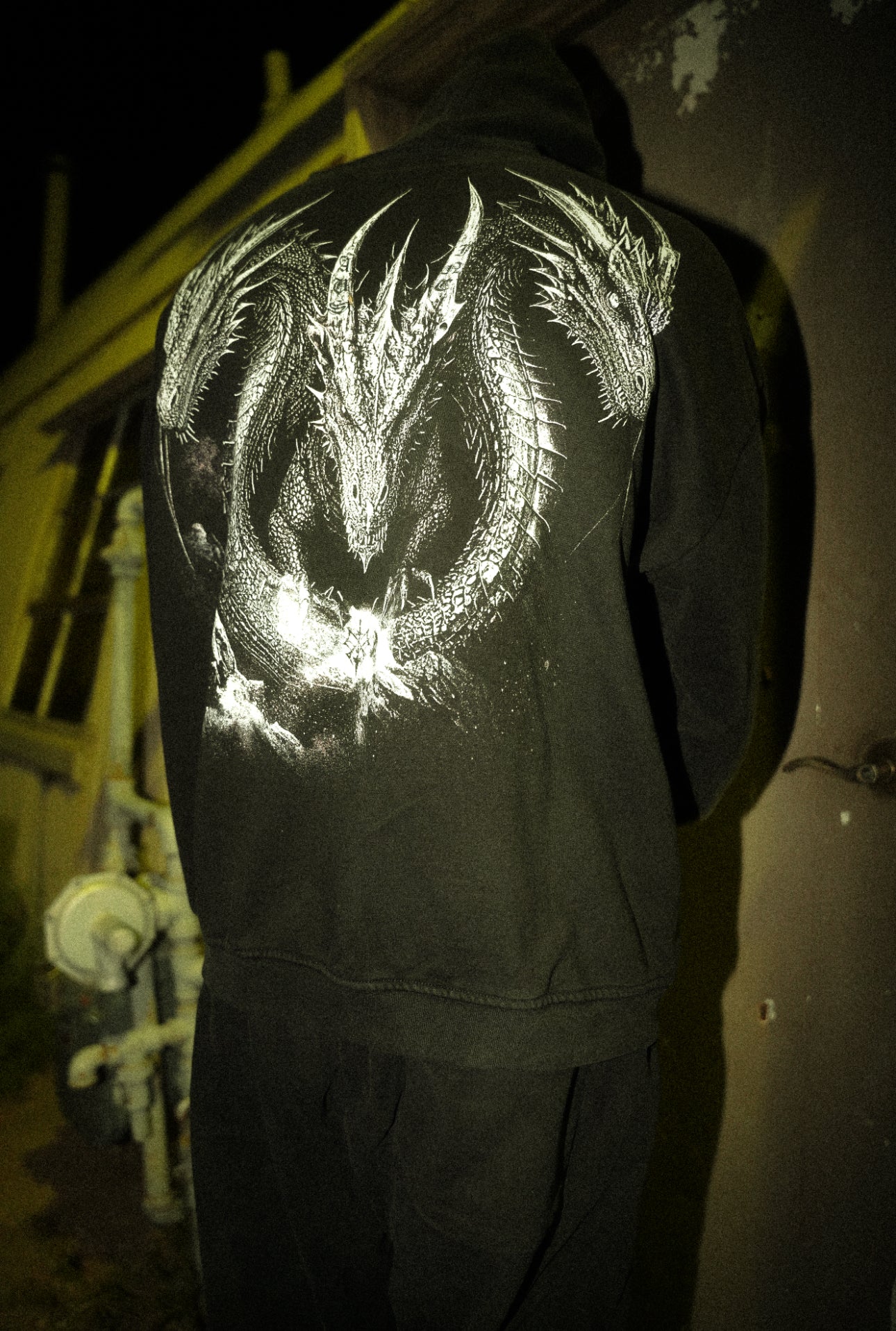 DRAGONFALL HOODIE