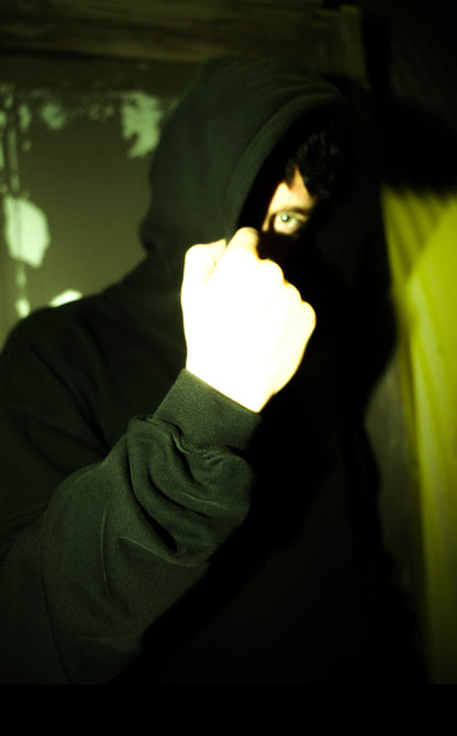 DRAGONFALL HOODIE