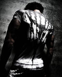 "KAGED" COMPRESSION (FROST)