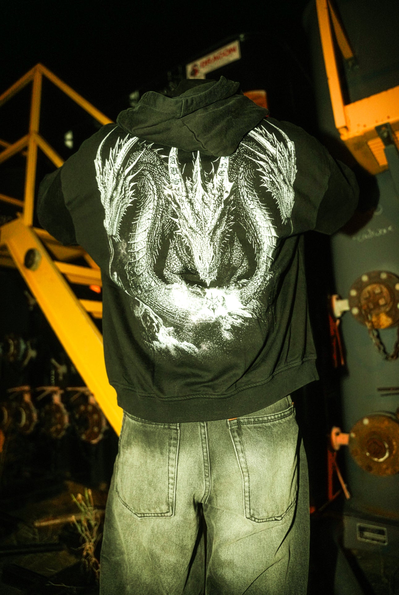 DRAGONFALL HOODIE