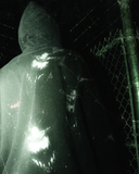 <p>"ASYLUM" CAPSULE</p>