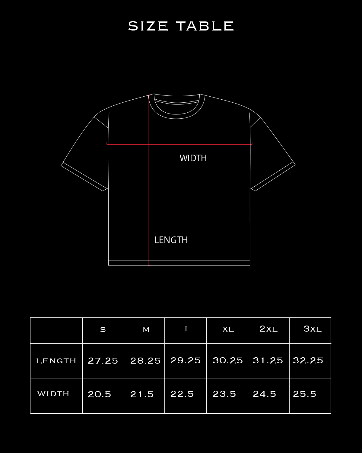 VANISHED TEE