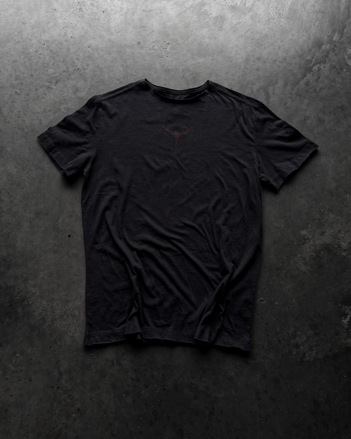 "RAVENS AEGIS" MUSCLE TEE