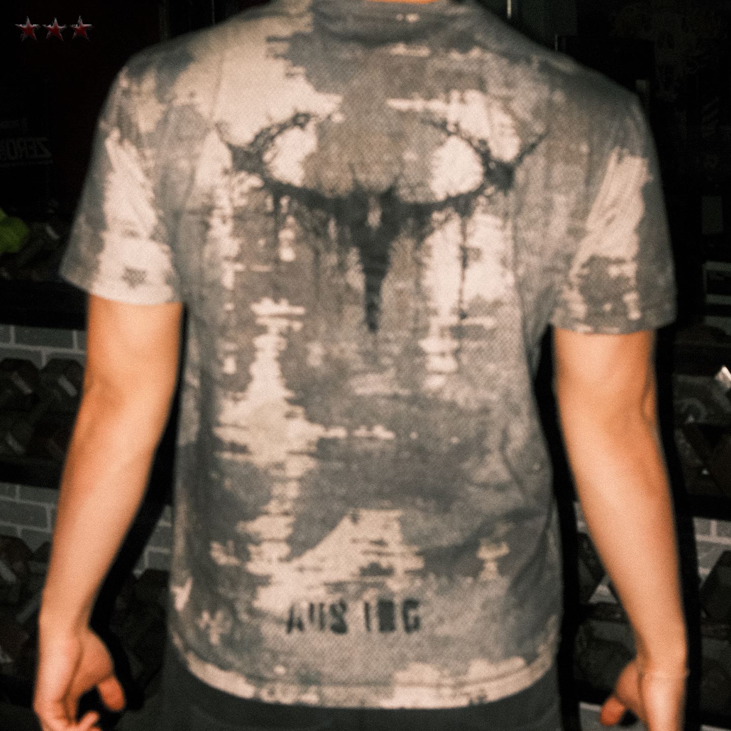 VEIL TEE