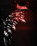 <p>"DRAVEN" COLLECTION</p>